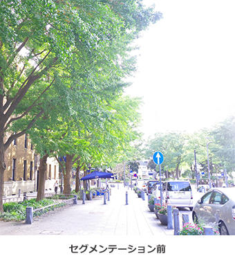 セグメンテーション前の画像