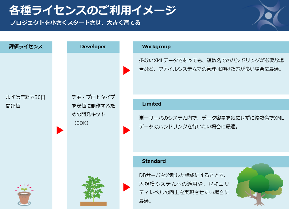 各種ライセンスのご利用イメージ～プロジェクトを小さくスタートさせ、大きく育てる～ 評価ライセンス：まずは無料で30日間評価／Developer：デモ・プロトタイプを安価に制作するための開発キット（SDK）。／Workgroup：データ容量はそれほど多くはないが、どうしても柔軟なデータ管理が必要な場合や、XMLデータを扱う必要がある場合に最適。／Limited：中小企業やベンチャー、企業の一部門などの小規模な業務利用で、データ容量を気にせず本格的に利用したい場合に最適／Standard：社外公開用のWebサービス基盤や全社レベルのデータ管理など、不特定多数や多人数がアクセスするシステムで利用する場合に最適。