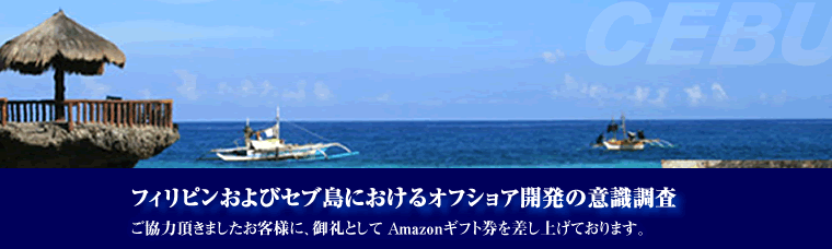 XML/XML DBのサイバーテック：フィリピンおよびセブ島におけるオフショア開発の意識調査